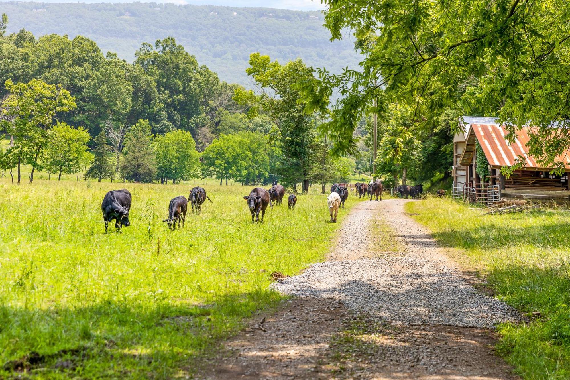 Quail Run Farm Pool Home Chattanooga Eksteriør billede
